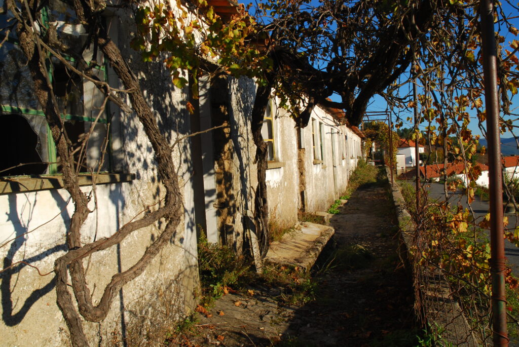 Bairro Mineiro