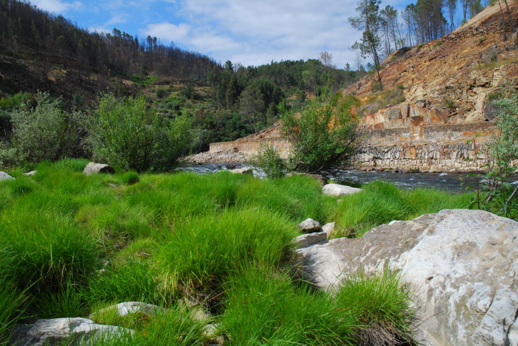 Rio Zêzere
