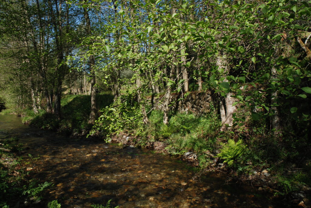 Praia Fluvial