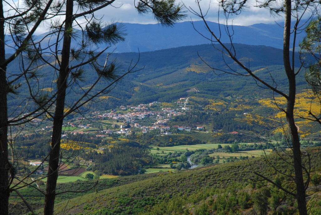 Coutada