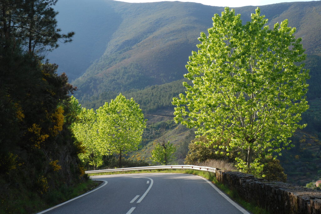 Estrada da Panasqueira