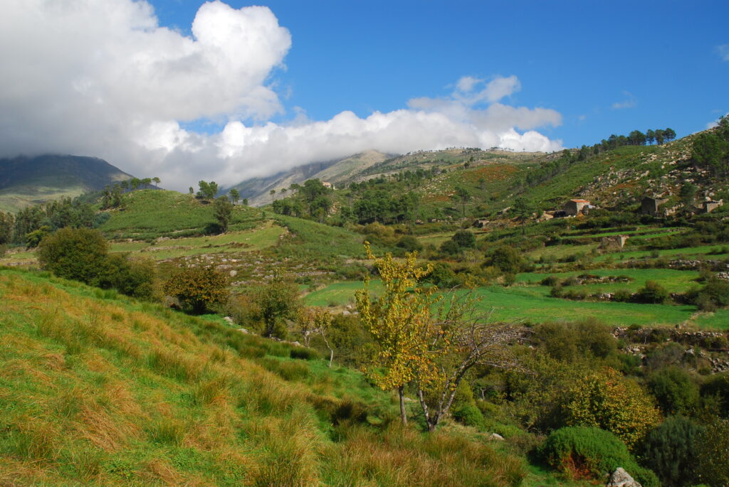 Lameiros