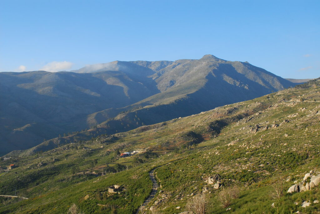 Vista para andares altimontanos